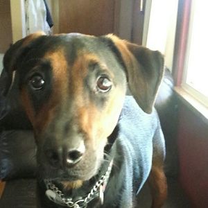 Meet your Posher, Jess