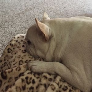 Meet your Posher, Erica