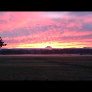 Meet your Posher, Shae