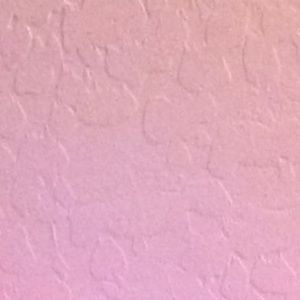 Meet your Posher, Kaylani