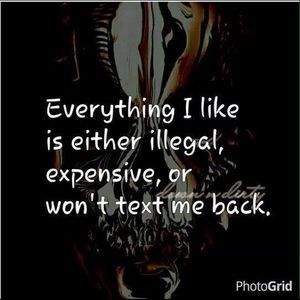 Meet your Posher, Shelly