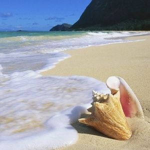 Meet your Posher, Kaitlin