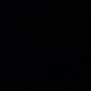 Meet your Posher, Allie