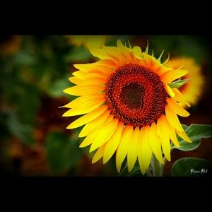 Meet your Posher, Michaela