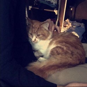 Meet your Posher, Shane