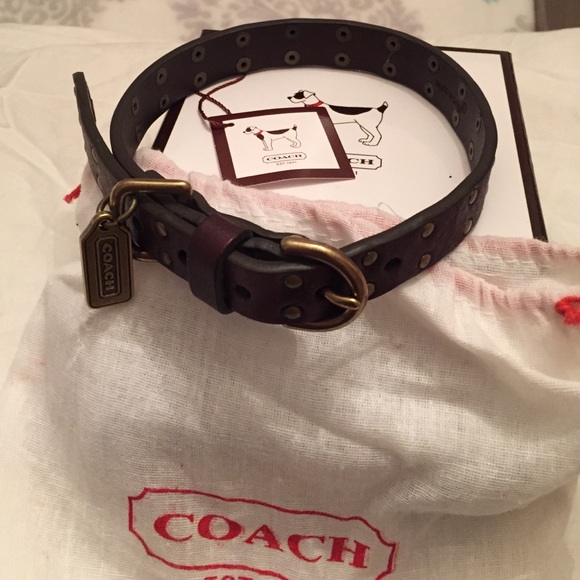 Brown leather studded dog collar