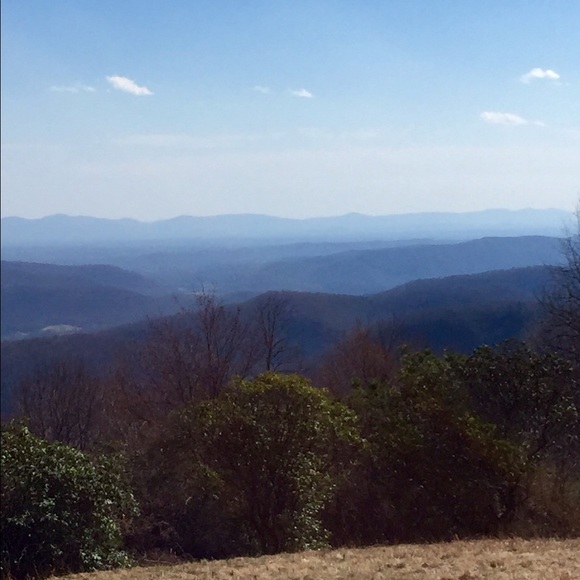 Meet your Posher, Brooke - Picture 1 of 1