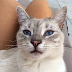 Meet your Posher, Ari