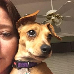 Meet your Posher, Wendy