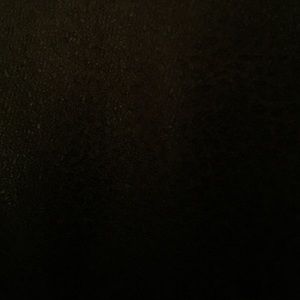 Meet your Posher, Holly