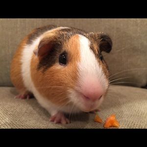 Meet your Posher, Kendra