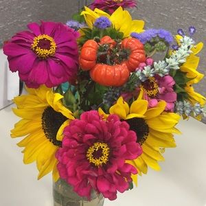 Meet your Posher, Kelcie