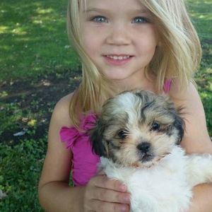 Meet your Posher, Heather