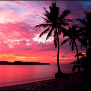 Meet your Posher, Bailey