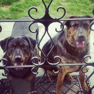 Meet your Posher, Karina