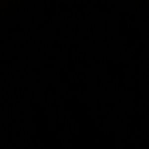 Meet your Posher, Bosede