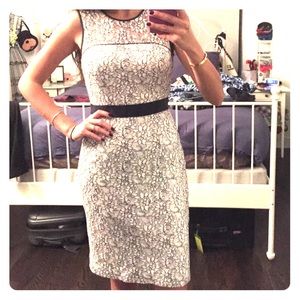 White and navy lace banana republic dress