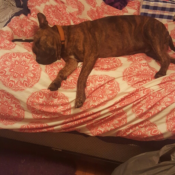 Mommy said cheese I said zzzzzzzz