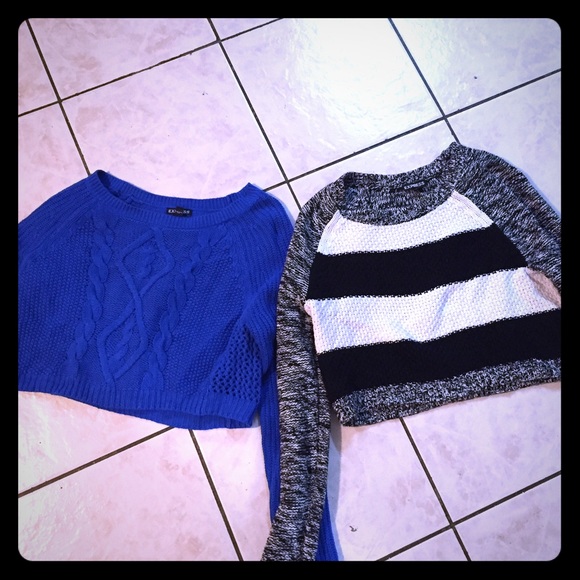 Express cropped sweater bundle