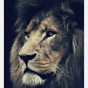 Meet your Posher, Viviana