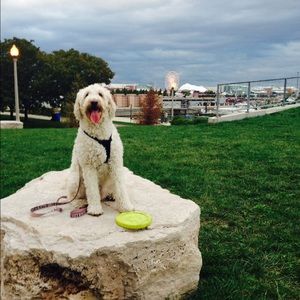 Meet your Posher, Sarah