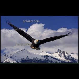 Meet your Posher, Samir