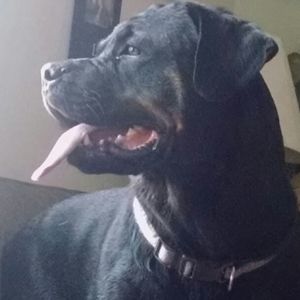 Meet your Posher, Stacie