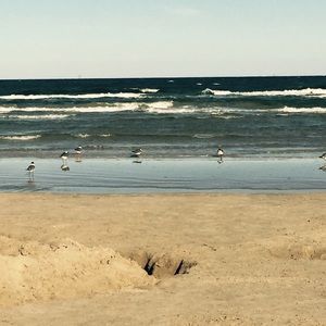 Meet your Posher, Leesa