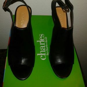 Charles David Isabella