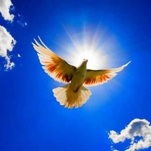 Meet your Posher, Perle