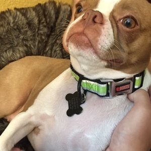 Meet your Posher, Hannah