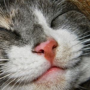 Meet your Posher, Adrienne