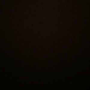 Meet your Posher, Cesar