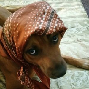 Meet your Posher, Lakeisha