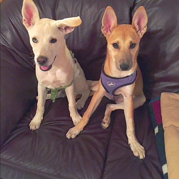 Meet your Posher, Sabrina