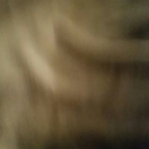 Meet your Posher, Sumer