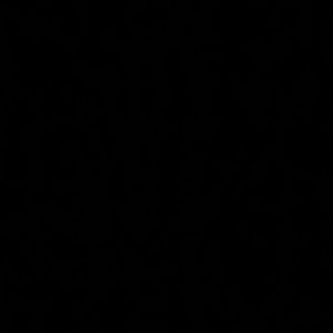 Meet your Posher, Susie