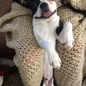 Meet your Posher, Madison