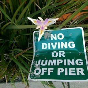 Meet your Posher, Alicia