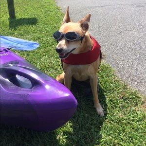 Meet your Posher, Megan