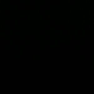 Meet your Posher, Brittiny