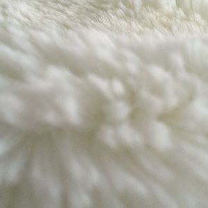 Meet your Posher, Mariah