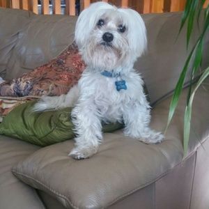 Meet your Posher, Christina