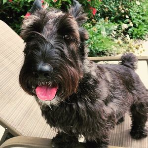 Meet your Posher, Courtney