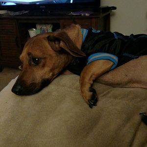 Meet your Posher, Kasey