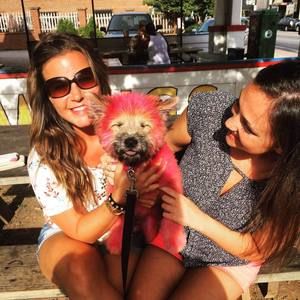 Meet your Posher, Sara