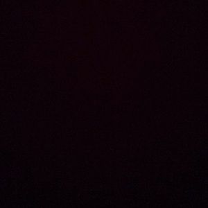 Meet your Posher, Shantel