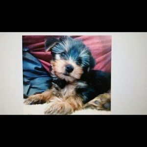 Meet your Posher, Kahla