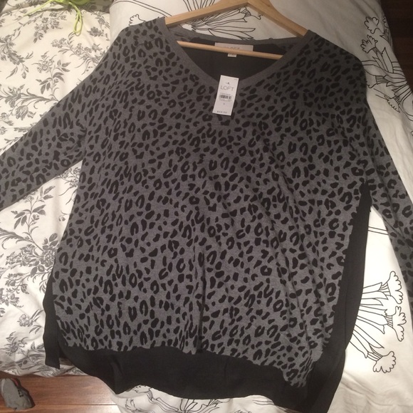 Ann Taylor loft sweater