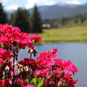 Meet your Posher, Katera